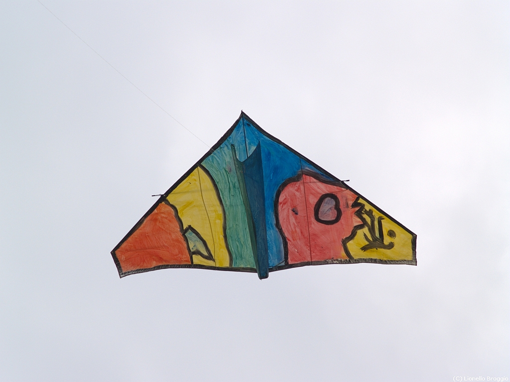 Cervia 2011-046.jpg